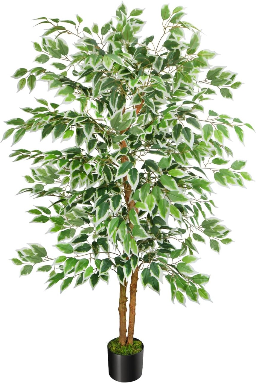 5ft Ficus Tree Artificial, Tall Fake Tree with Natural Trunk Faux Trees Indoor Silk Ficus Leaves Artificial Trees for Home Decor Indoor Summer Office Living Room Outdoor (Included Dried Moss)